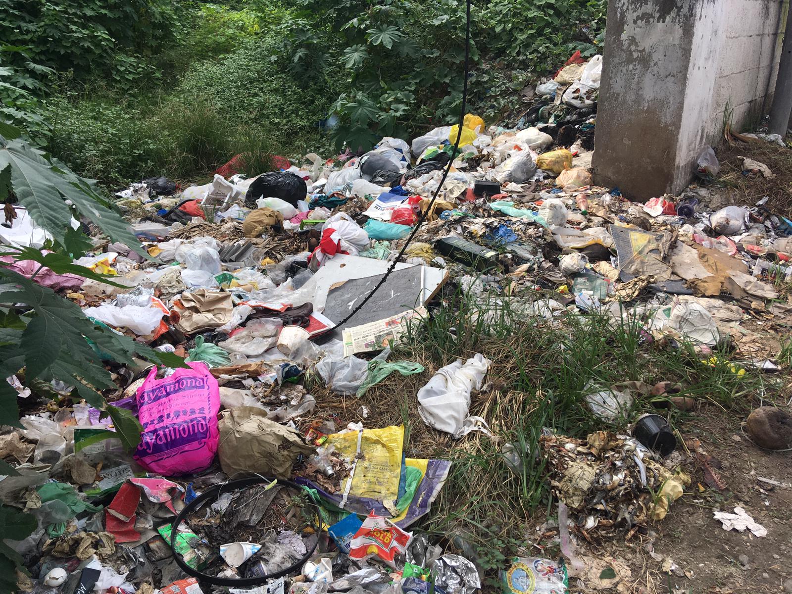 Trash dumped at outskirts of city